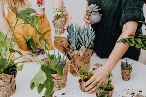 How_to_Know_Your_Plant_is_Healthy